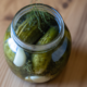 Homemade Authentic Dill Pickles