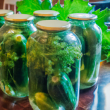 Zesty Preserved Pickles: A Unique Culinary Experience